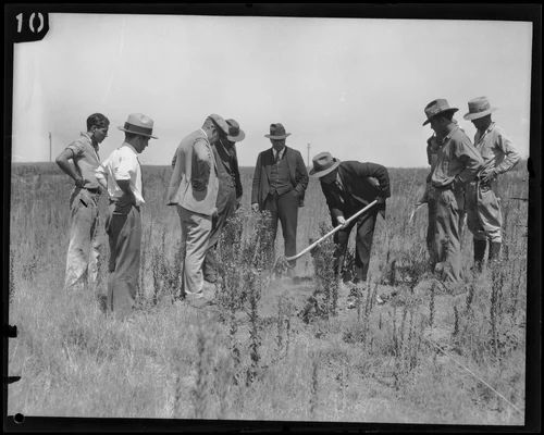 Investigators dig for evidence near the Northcott family's ranch, Riverside County, 1928