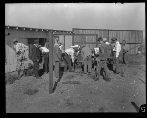 Investigators dig for evidence at the Northcott family's chicken coop, Riverside County, 1928
