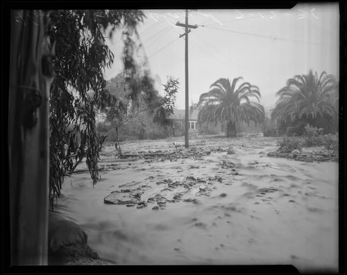 Tree-lined muddy road after a flood, Upland, 1936