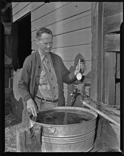 Frank C. Buffington, citrus grower, predicts the weather, Upland, 1939