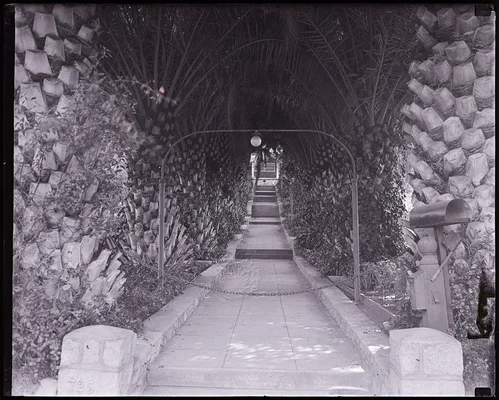 Walkway lined with palms, Redlands, 1920s