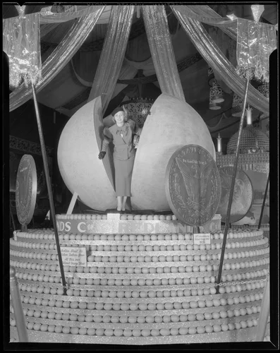 Woman emerges from the giant orange at the center of the Redlands display at the National Orange Show, San Bernardino, 1935