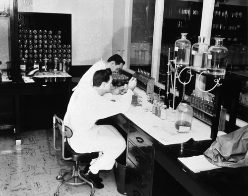 U.S. Naval Hospital, Corona, CA: Blood chemistry, Main Laboratory