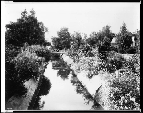 Close-up view of the Zanja Madre, the main irrigation ditch in Riverside, 1903
