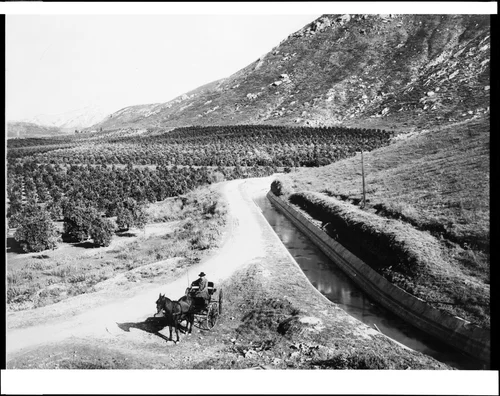 Horse-drawn vehicle
