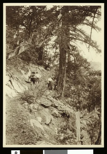 Hikers on trail to summit of San Gorgonio, 1900-1915