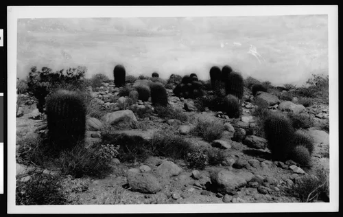 Devil's Playground, scenic view, ca.1903