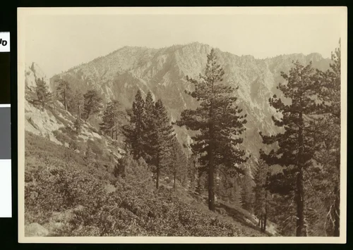 View from the trail to summit of mount San Gorgonio in Riverside, 1900-1915