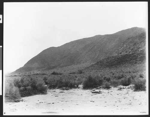 Sea line of the Salton Sea in the desert, ca.1930