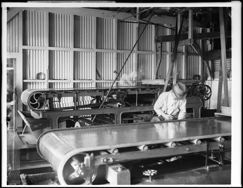 Concentrator at the tin mines owned by Colonel Robinson, Temescal, Riverside, ca.1889