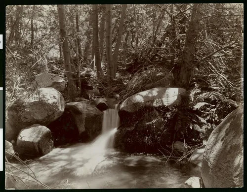 Idyllwild creek, Riverside County, ca.1880