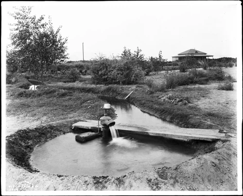 Irrigation ditch in a citrus grove by a house on the Colorado Desert in Coachella, California