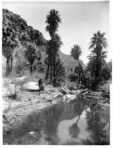 Palm Canyon near Palm Springs, showing a stream in the foreground, ca.1900