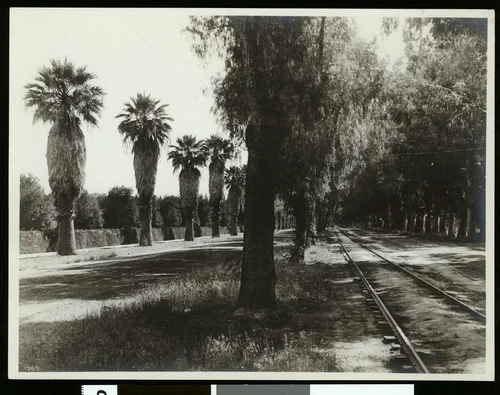Magnolia Avenue in Riverside, showing railroad tracks, ca.1900