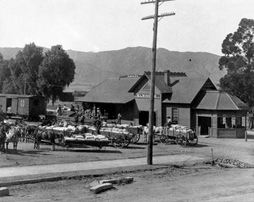 Horse-drawn wagons lined up at a Santa Fe Railroad station in Elsinore to load grain into boxcars, ca.1900