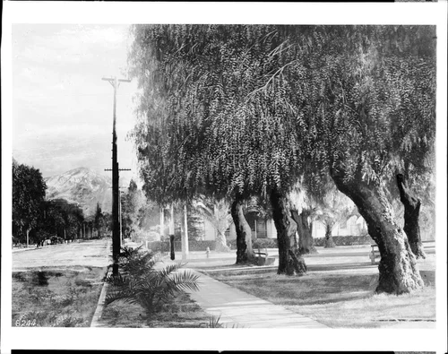 View of the San Bernardino city park, showing the San Bernardino Mountains in the background, ca.1903