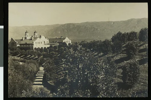 Orchard surrounding the Burrage residence in Redlands, ca.1900