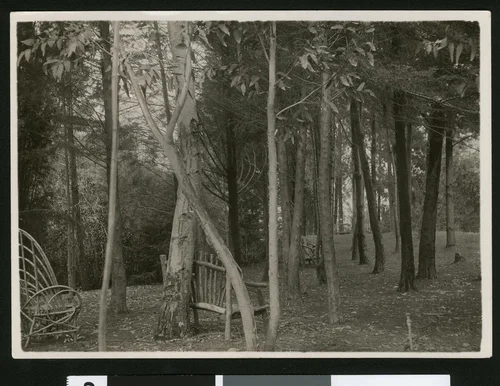 Cosy Point in Smiley Heights, ca.1900
