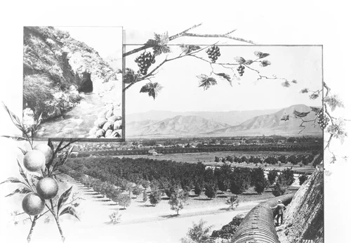 Collage with illustrations representing the irrigation of orchards in the Redlands area, Redlands, ca.1890-1900