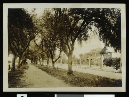 Exterior view of a house on a residential street in Redlands, ca.1900
