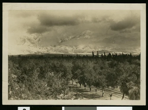 Ontario after a storm, showing snow on the mountings, ca.1900