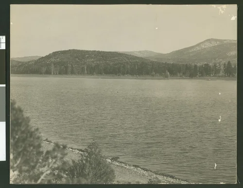 Panoramic view of Baldwin Lake, Big Bear Valley, view 2, ca.1930