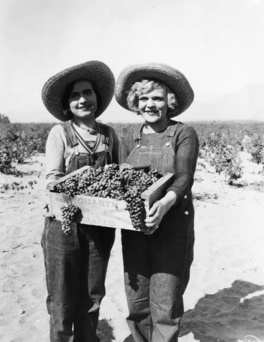 Women working in Gausti vineyard, view 13
