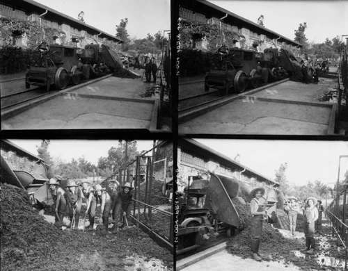 Women working in Gausti vineyard, views 1-4