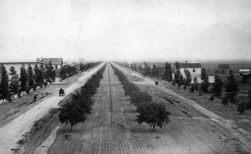 Euclid Avenue, Ontario