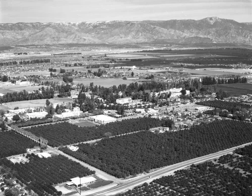 Loma Linda University