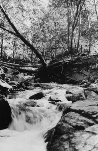 Glen Ivy stream, view 1
