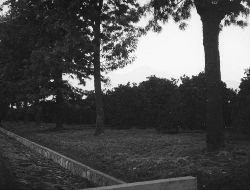 Orange grove in Upland