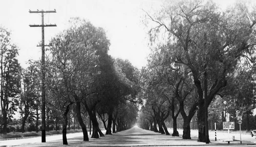 Euclid and Foothill avenues, Upland