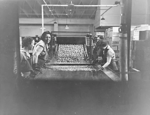 Processing lemons in Upland