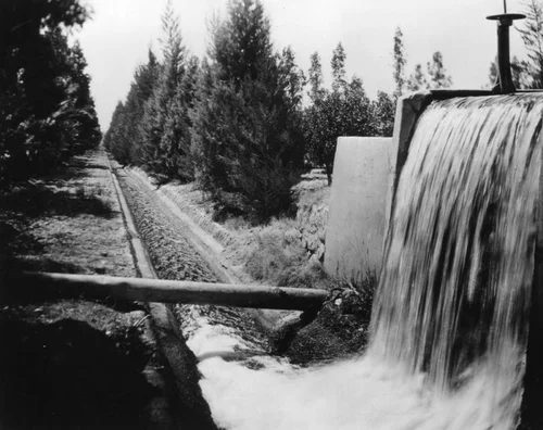 Irrigation water