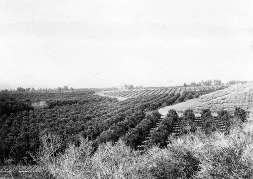 Randall Ranch and surrounding area