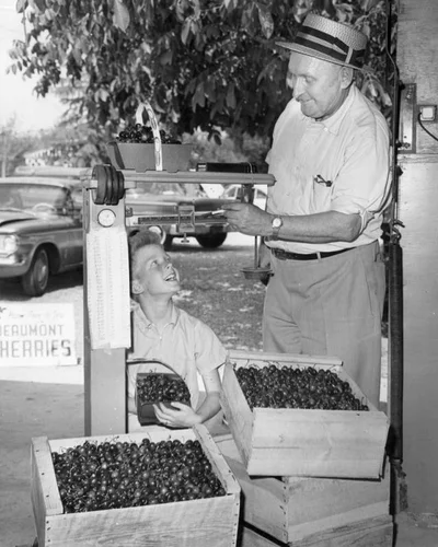 It's cherry time in Beaumont