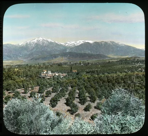 Redlands and San Bernardino Mountains Orange Groves