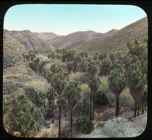 Upper Portion of Palm Canyon, California