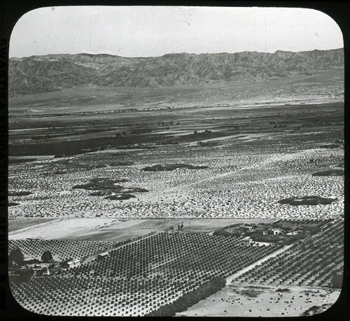 Coachella Valley, Toward Little San Bernardino Mountains Date and Grapefruit Ranches