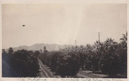 Mount Rubidoux from train