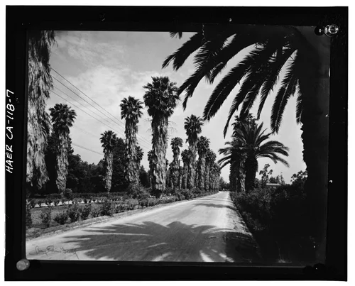  Photocopy of photograph (original print at Riverside Municipal Museum, Historical Resources Department), photographer and date unknown. VIEW OF VICTORIA AVENUE NEAR MYRTLE STREET - California Citrus Heritage Recording Project, Riverside, Riverside County, CA