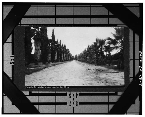  Photocopy of photograph (original print at Riveside Library, Local History Collection), photographer unknown, ca. 1916. VIEW OF MAUDE STREET AT VICTORIA AVENUE LOOKING SOUTH - California Citrus Heritage Recording Project, Riverside, Riverside County, CA