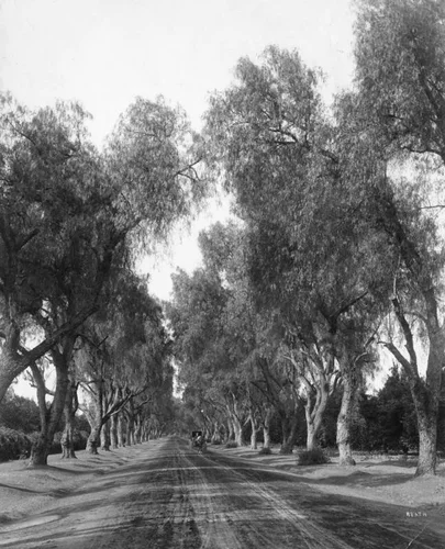 Adams Street, Riverside 